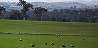 Please click here for more information on Glenalla