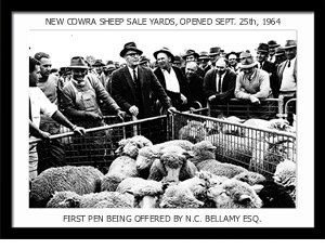 Norman C. Bellamy offering the first pen at the opening of the Cowra Sheep Sale Yards Norman C. Bellamy offering the first pen at the opening of the Cowra Sheep Sale Yards